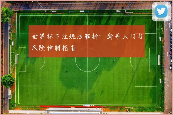 世界杯下注玩法解析:新手入门与风险控制指南