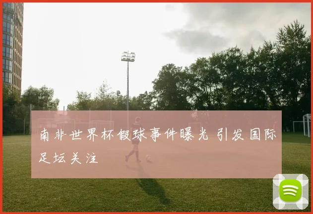 南非世界杯假球事件曝光 引发国际足坛关注